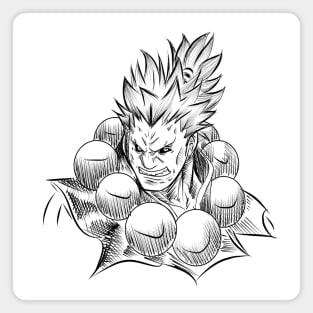 akuma, street fighter Magnet